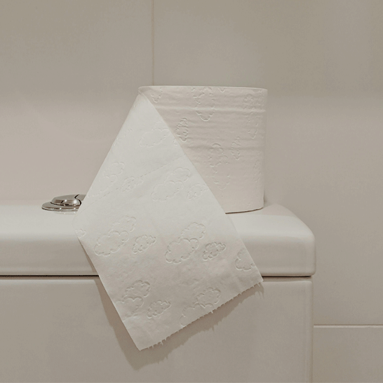 Weisses Toilettenpapier zur Veranschaulichung, wie man hartnäckige Stoffflecken wie Blut, Schweiss, Erbrochenes und Urin entfernt 